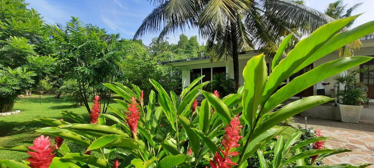 New Holiday Reach Unawatuna Exterior foto
